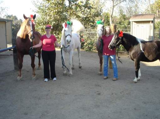 Horse Costumes by Christy 112909