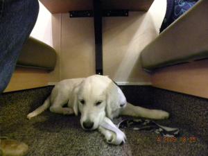 good table manners 112909