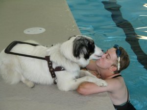 36305_1433288385489_1031285641_1272093_5591106_n