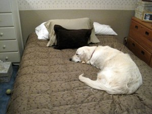 Windsor B. and Me Teaching 058